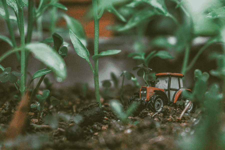 Team planning next steps for Systematic capital management and protection, corporate finance, and financial planning for family wealth and family offices